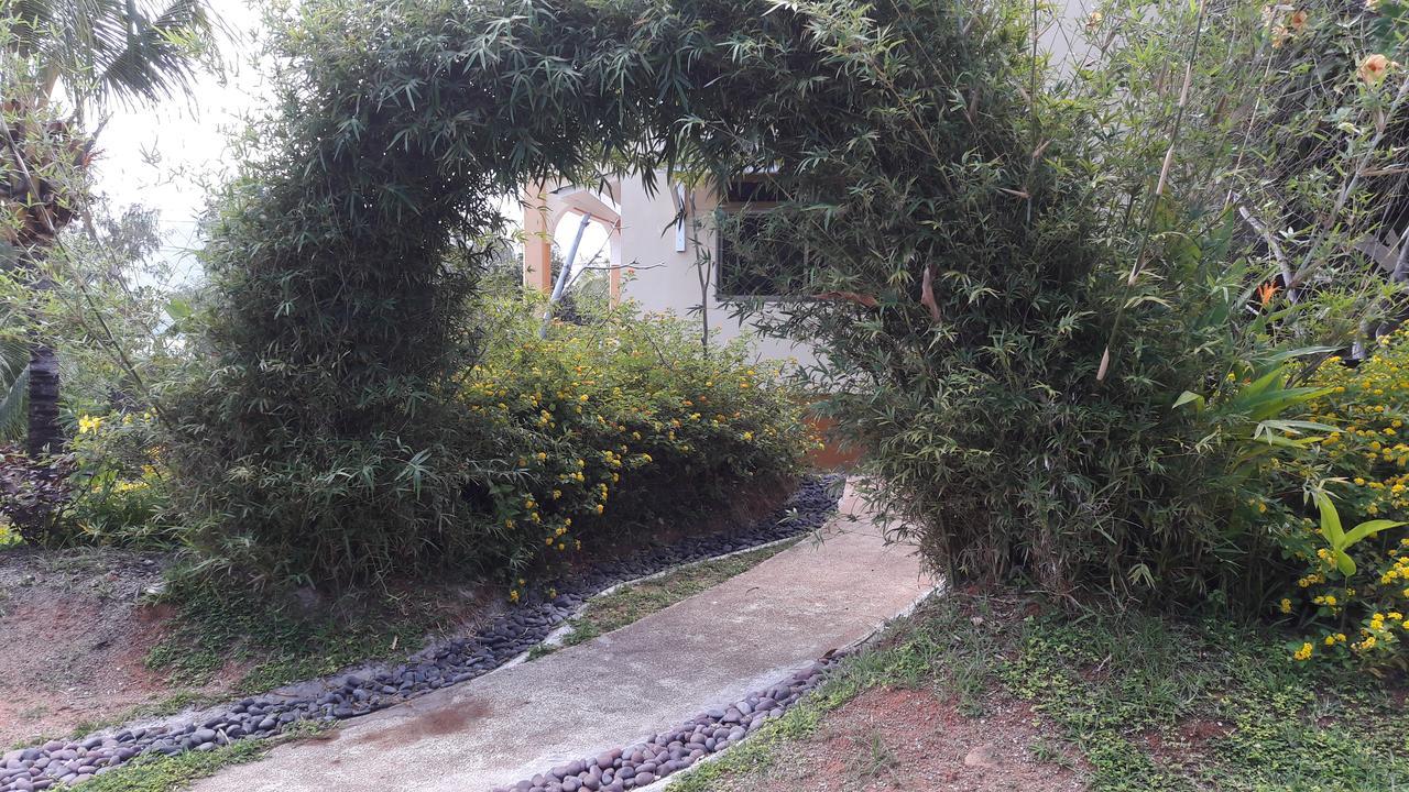 Appartement Jardin Marron à Baie Sainte-Anne Extérieur photo